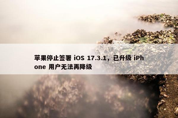 苹果停止签署 iOS 17.3.1，已升级 iPhone 用户无法再降级