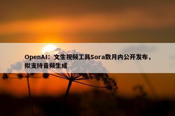 OpenAI：文生视频工具Sora数月内公开发布，拟支持音频生成