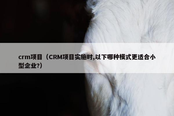 crm项目（CRM项目实施时,以下哪种模式更适合小型企业?）