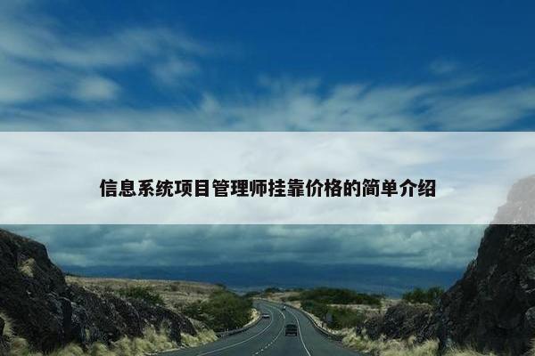 信息系统项目管理师挂靠价格的简单介绍